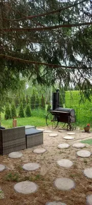 a barbecue grill sitting in a yard under a tree at Sodyba Narūnas VIP namelis in Sponėnai