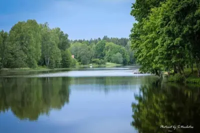 a large lake with trees in the middle of it at Sodyba Narūnas VIP namelis in Sponėnai
