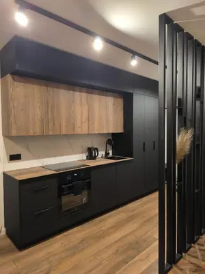 a kitchen with black appliances and wooden cabinets at Ozo Parko Butas in Vilnius