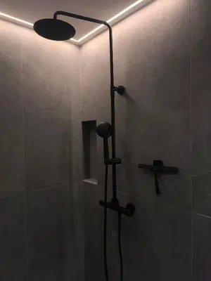 a shower with a shower head and a light at Ozo Parko Butas in Vilnius