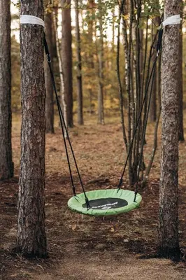 a swing in the woods between two trees at Gamtos pinklės in Žiūrai