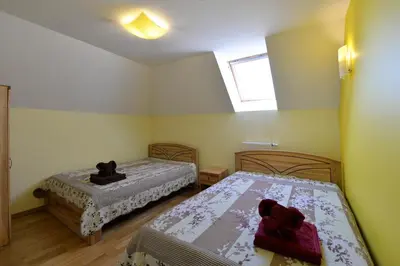 a bedroom with two beds and a window at Sodyba Pas Drambliuka in Svėdasai