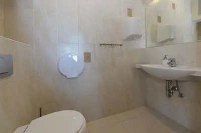 a bathroom with a toilet and a sink at Sodyba Pas Drambliuka in Svėdasai