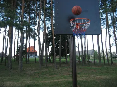 a basketball hoop with a basketball inside of it at Sodyba Pas Drambliuka in Svėdasai