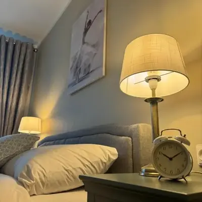 Jaukus apartamentas Birzu centre