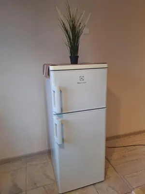 a white refrigerator with a potted plant on top of it at Rinktinės apartments in Vilnius