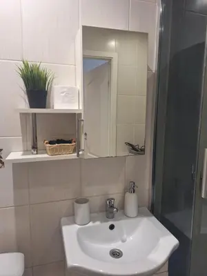 a bathroom with a sink and a mirror and a shower at Rinktinės apartments in Vilnius