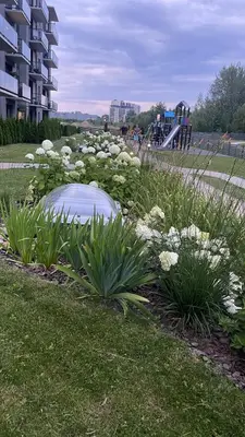 a garden with white flowers in a park at Studio FAMILY like home in Vilnius