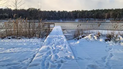Gallery image of Glamping Druskininkai in Grūtas
