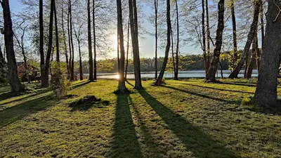 Gallery image of Glamping Druskininkai in Grūtas
