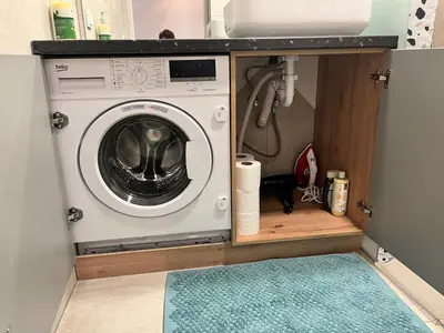 a washer and dryer in a laundry room with a rug at Beržo Kampelis Mieste in Kaunas