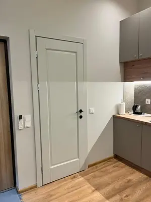 a white door in a kitchen with a counter at Beržo Kampelis Mieste in Kaunas