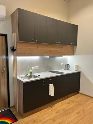 a kitchen with black cabinets and a sink at Beržo Kampelis Mieste in Kaunas