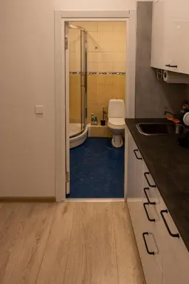 a bathroom with a shower and a toilet and a sink at Bright Vilnius Center Apartment in Vilnius