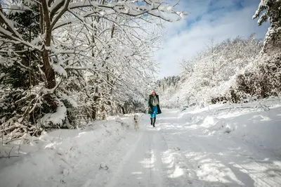 a person walking a dog on a snow covered trail at Pasakų namelis dviems su vaizdu į ežerą in Esperanza
