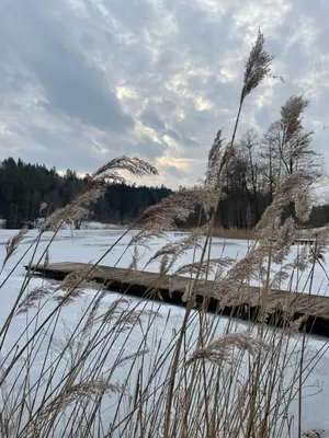 a dock on a river with snow on it at Pasakų namelis dviems su vaizdu į ežerą in Esperanza