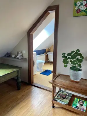 a large mirror in a room with a bathroom at Gallery Guest Rooms in Kernavė