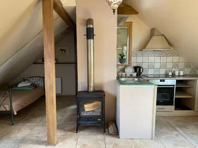 a kitchen with a wood stove in a room at Gallery Guest Rooms in Kernavė
