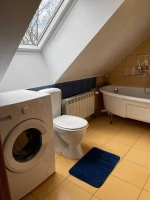 a bathroom with a toilet and a tub and a washing machine at Gallery Guest Rooms in Kernavė