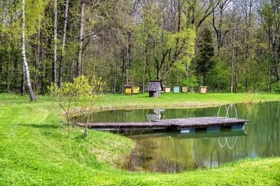 a small wooden bridge over a pond in a park at Vila Valentino in Klepšiai