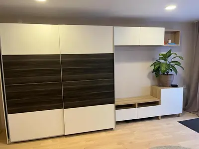 a large white wardrobe in a room with a potted plant at Kakava House in Nemėžis