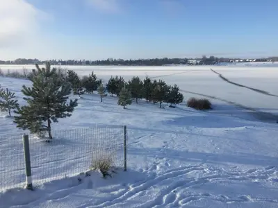 a fence in a snow covered field with trees at Marių Kalvos in Palėvenėlė