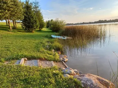 a boat sitting on the shore of a lake at Marių Kalvos in Palėvenėlė