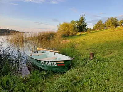 a boat sitting in the grass next to a body of water at Marių Kalvos in Palėvenėlė