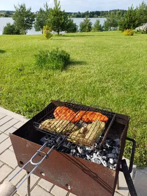 a grill with hot dogs on it in a field at Marių Kalvos in Palėvenėlė