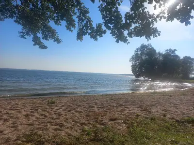 a beach with trees and the ocean on a sunny day at 2 kambarių butas 100 m nuo paplūdimio in Gudeliai