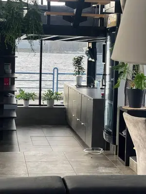 a kitchen with potted plants and a view of the water at Aquaspot Kaunas in Kaunas