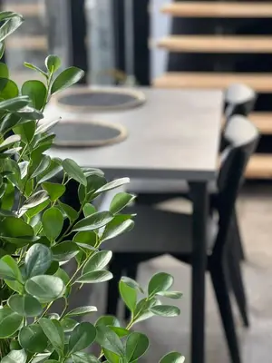 a table and chair with a plant in front of it at Aquaspot Kaunas in Kaunas