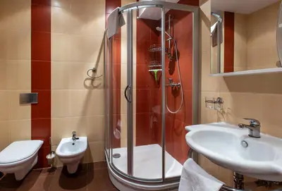 a bathroom with a shower and a sink and a toilet at DJ home in Druskininkai