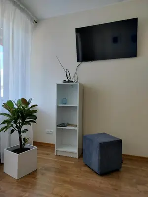 a living room with a tv and a plant at Apartamentai dviems Ignalinoje in Ignalina