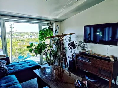 a living room with a couch and a tv and plants at Panoramic view home in Kaunas