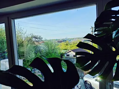 a window with a plant in front of it at Panoramic view home in Kaunas