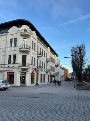 Gallery image of Maironio apartamentai Laisvė in Kaunas