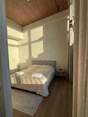 Gallery image of Maironio apartamentai Laisvė in Kaunas