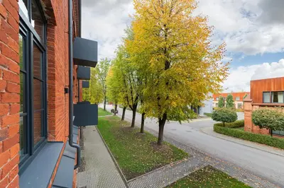 an empty street with a tree on the side of a building at Shanti barracks apartment #2 by Polo Apartments in Kaunas