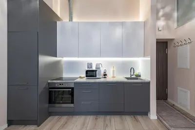 a kitchen with gray cabinets and a sink at Shanti barracks apartment #2 by Polo Apartments in Kaunas