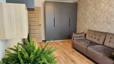 a living room with a couch and a plant at Savannah Ateities Apartamentai in Panevėžys