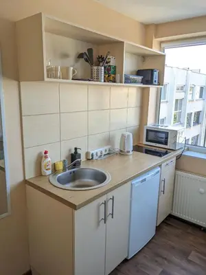 a small kitchen with a sink and a microwave at Mini Studio Apartment in Kaunas