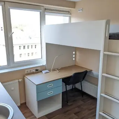 Mini Studio Apartment