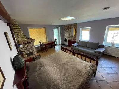 a living room with a couch and a fireplace at Komfortita in Utena