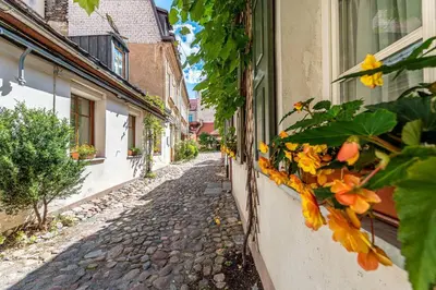 an alley in an old town with flowers on the side of a building at Oldtown Apartment studio #D in Vilnius