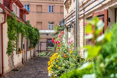 an alley with flowers in front of a building at Oldtown Apartment studio #D in Vilnius
