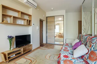 a living room with a couch and a flat screen tv at Ballare Druskininkai in Druskininkai