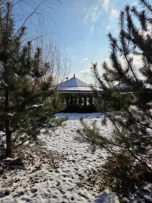 a house in the snow with trees in the foreground at Egliškių Oazė Sodyba su pirtimi kubilu- privatumas garantuotas in Vilnius
