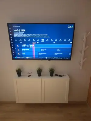 a flat screen tv on a wall with potted plants at Pilot Loft in Kaunas