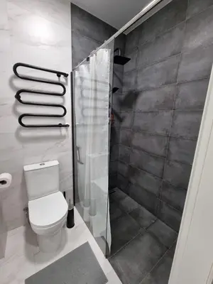 a bathroom with a toilet and a shower at Refurbished central apartment in Vilnius